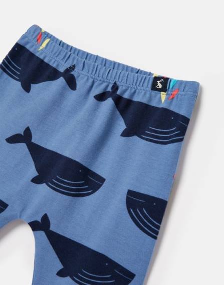 Apparel IE Joules Boys Payton Organically Grown Cotton Legging 0-3 Years BLUEWHALE JVVL396