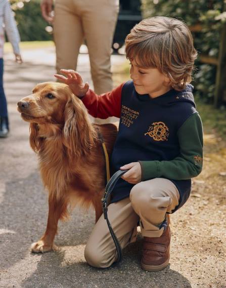 Apparel IE Joules Boys Unisex Burghley Hooded Sweatshirt 2-12 Years FRENCH NAVY JVVL316