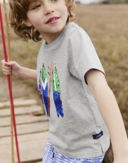 Apparel IE Joules Boys Archie Short Sleeve T-shirt 5-12 years GREY SURFBOARDS JVVL368